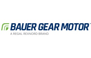 Bauer Gear Motor